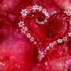 Meet your Posher, Rosie